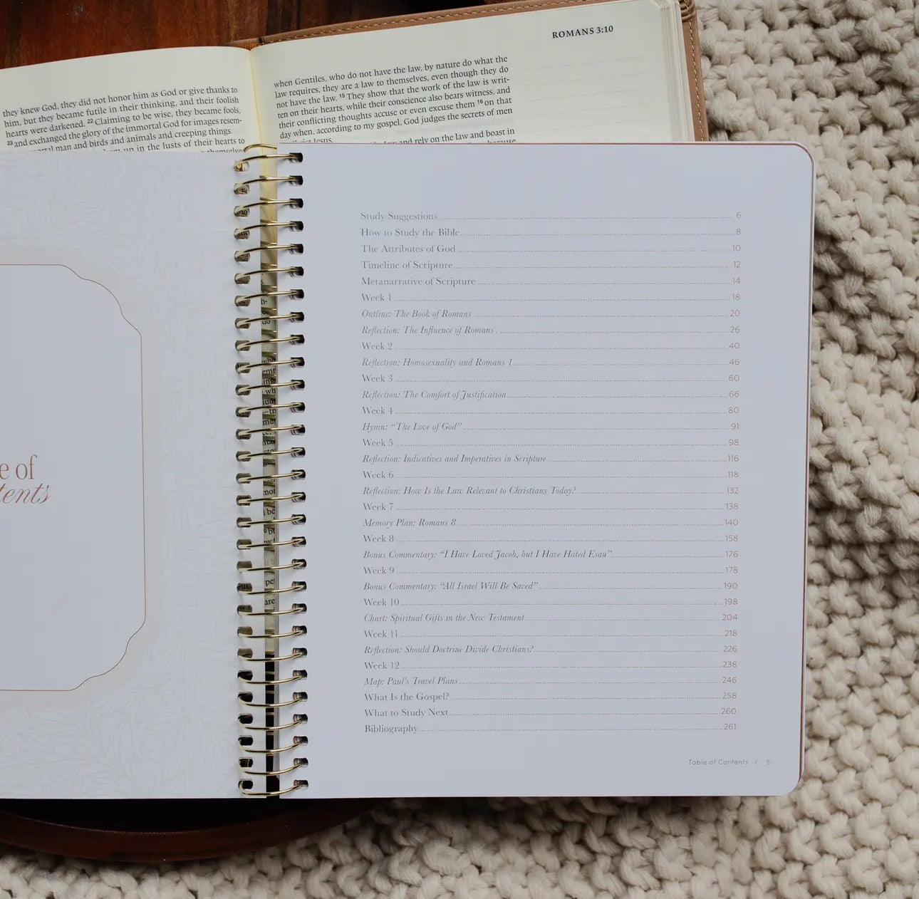 In Christ Alone | A Study on the Book of Romans