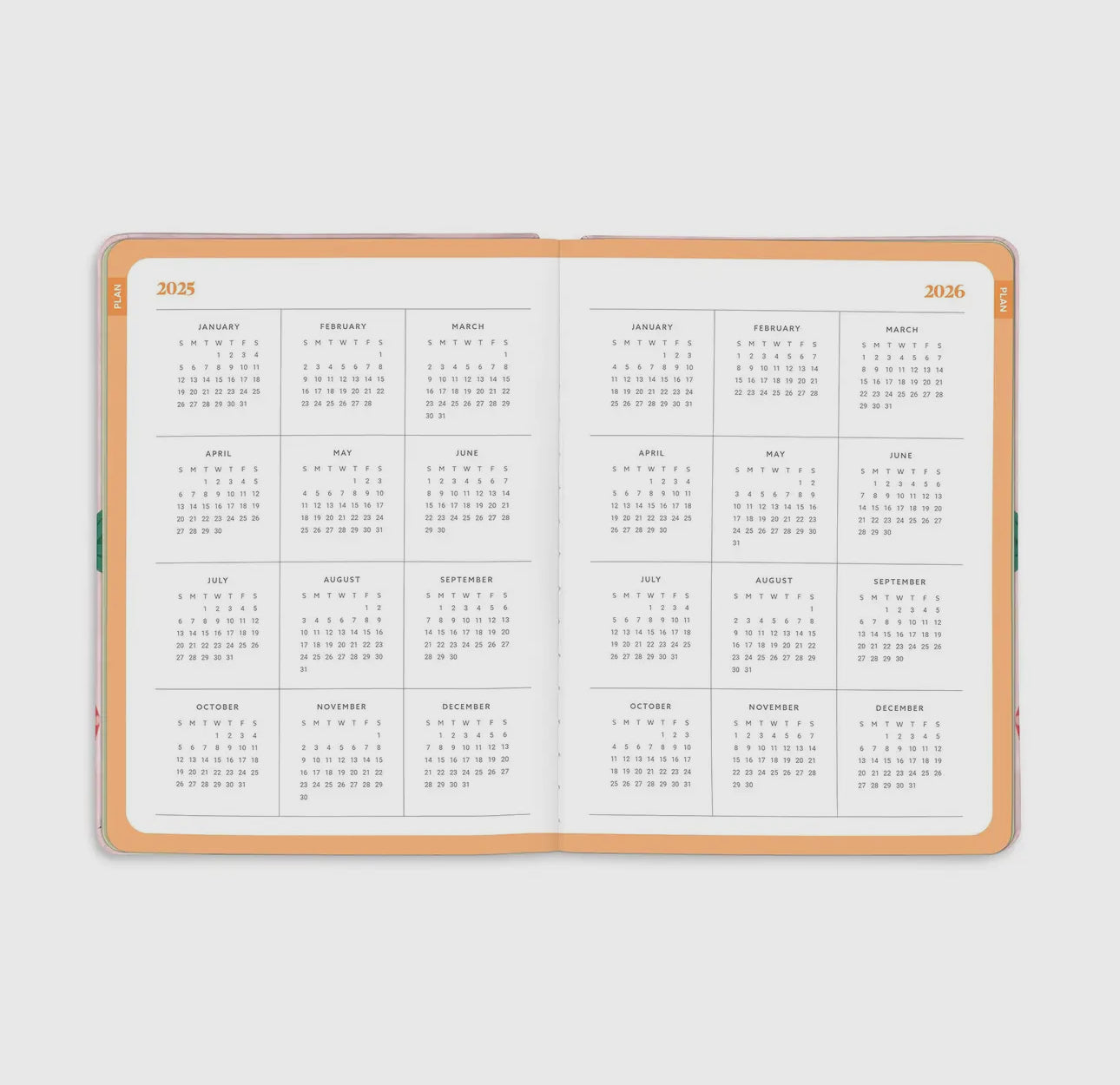 2026 Strawberry Gingham Planner