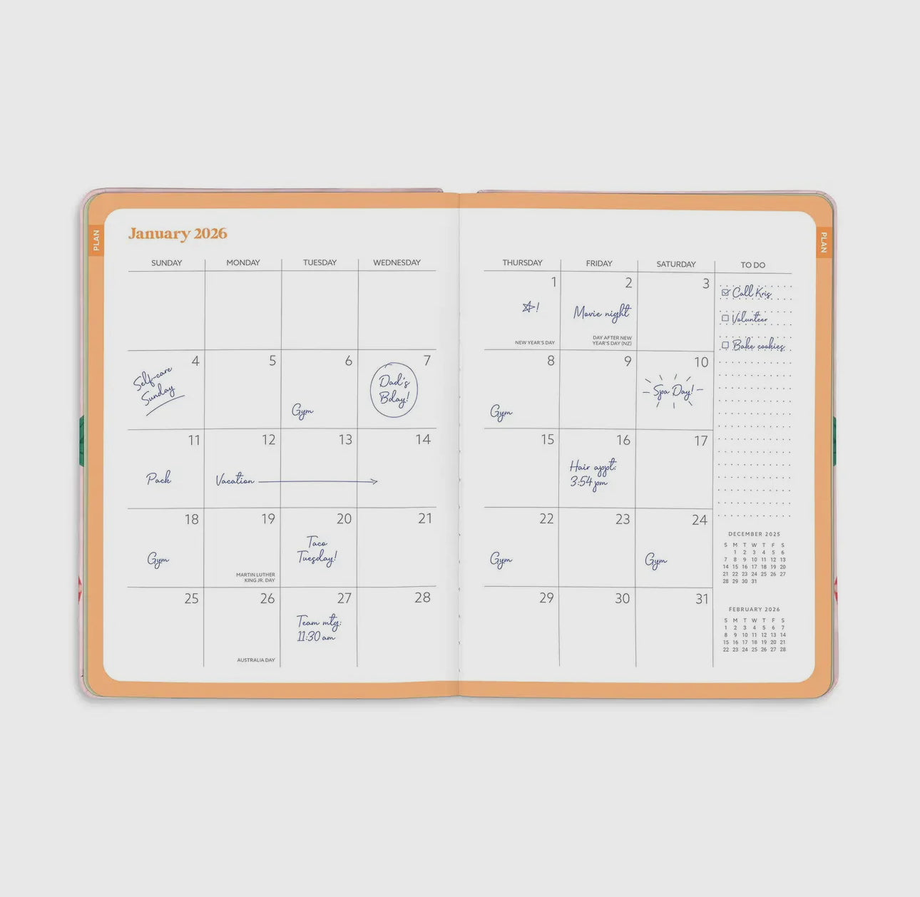 2026 Strawberry Gingham Planner